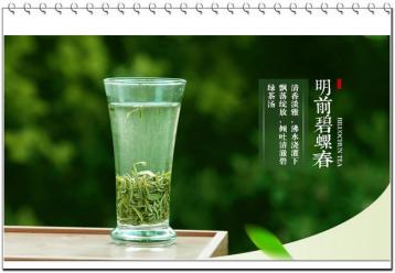 綠茶功效與作用|茶葉功效