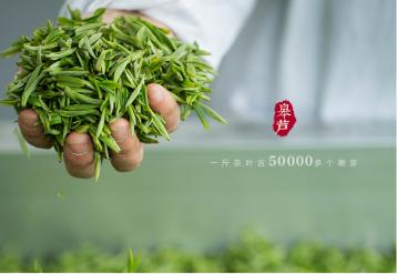 “陽羨雪芽”茶生產技術規范開始修訂